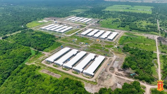 Agro Azienda Poultry CCTV Project screenshot
